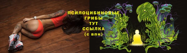 мет Арсеньев