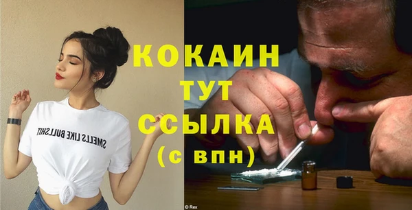 мет Арсеньев