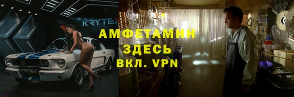 прущие грибы Россошь
