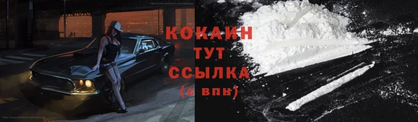 мет Арсеньев