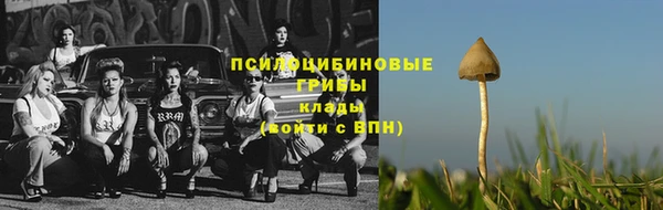 Альфа ПВП Армянск