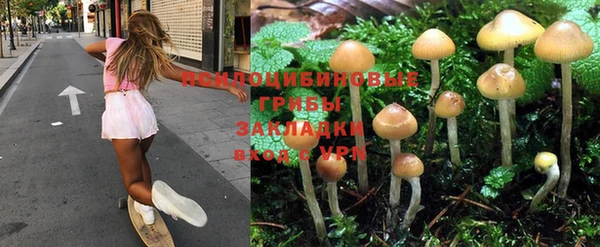 метадон Аркадак