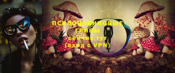 прущие грибы Россошь